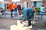 s7692_ARC-Foto_Zomerfeest_Aarlanderveen.jpg