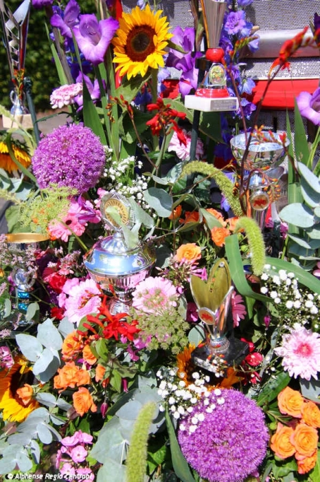 Klik op de foto om originele grootte te bekijken