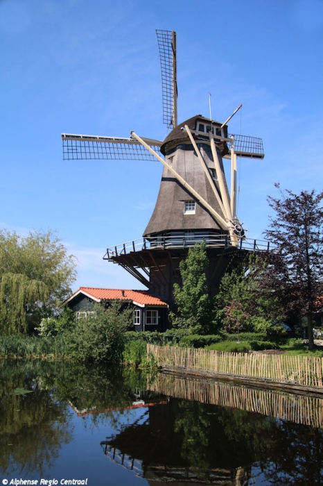 Klik op de foto om originele grootte te bekijken