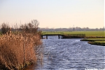 Bestandsnaam=s6181_ARC-Foto_Polder_bij_Kerkvaartseweg.jpg
Bestandsgrootte=122KiB
Afmetingen = 900x600
Datum toegevoegd = 14 feb 2020 s6181_ARC-Foto_Polder_bij_Kerkvaartseweg.jpg