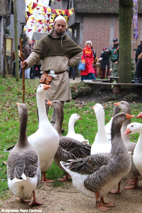 Klik op de foto om originele grootte te bekijken