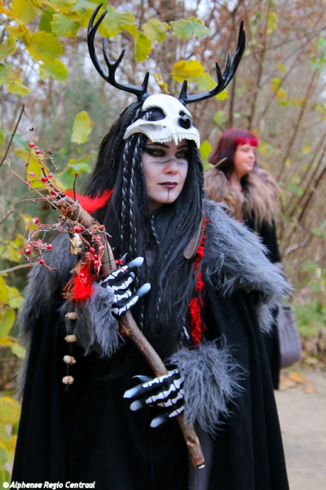 Klik op de foto om originele grootte te bekijken