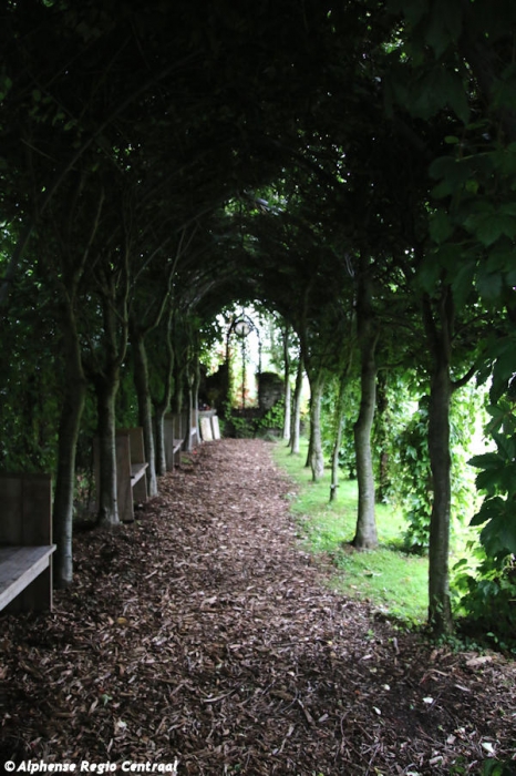 Klik op de foto om originele grootte te bekijken