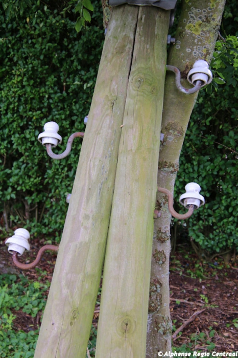 Klik op de foto om originele grootte te bekijken