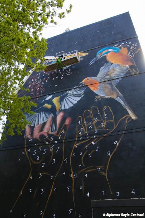 Klik op de foto om originele grootte te bekijken