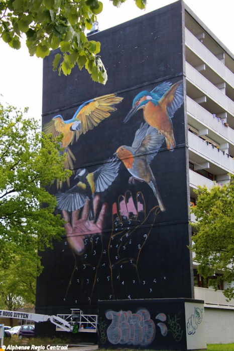 Klik op de foto om originele grootte te bekijken