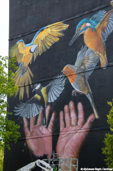 Klik op de foto om originele grootte te bekijken