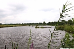 s8742_ARC-Foto_Natuurgebied_IJsvogel_Ravelijnpad.jpg