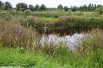 Bestandsnaam=s8755_ARC-Foto_Natuurgebied_IJsvogel_Ravelijnpad.jpg
Bestandsgrootte=125KiB
Afmetingen = 900x600
Datum toegevoegd = 29 jul 2020 s8755_ARC-Foto_Natuurgebied_IJsvogel_Ravelijnpad.jpg