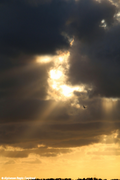 Klik op de foto om originele grootte te bekijken