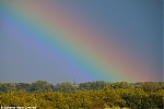s9391_ARC-Foto_Regenboog_Ridderveld.jpg
